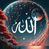 user1042310940387