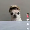 hvk_hugo13