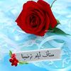 .saleh720