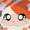 yt_nyannyan