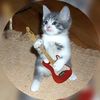 yilmar.merchan