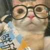notpea_nuts