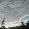 danielpetalcorin3