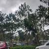 akolangtosi___tons