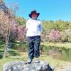 user8251390460224
