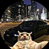 user756200981