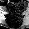 ly.nek580