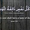touqeer.hussain187