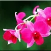 nguyn.ngoc.duy8