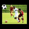 edwin.black23