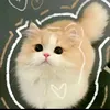 nhwqyn_308