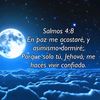 nelly.bcrz