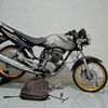 herexjember5