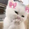 yassmina_183