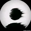 huy207520
