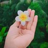 faiza_official_00