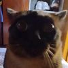insniti.123