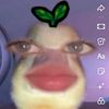 prill_04181