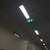 shutt_1245