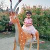user031768477