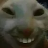 luthedan