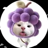 bini15897