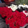 mst.tania.akter.a