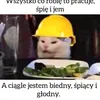 lolek.misiewicz