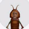 kepiting12_saospadang11