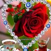 user6095080086085