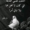 merboutisirin