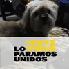 pilar.poyuelo