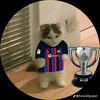 owca_football