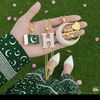 hayannoor2