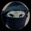 syifaul.fikri7