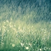 rain224_2512