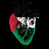 abo_amer2026