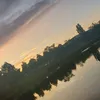 sibra_2012
