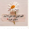 muhammadhamid4796