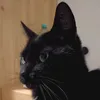 rekaaaaaaaaaaaaaaa