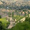 shahzad.mehsood4