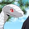 sassy.kaburamaru