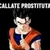 gohan_xd_476