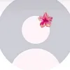 l_andradezx