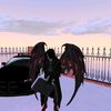 caredits5305