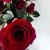 💙❤️