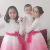 ha.alimzada