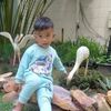 ary.arma.pangalil