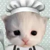mazhhoanqg