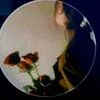 d_aloo